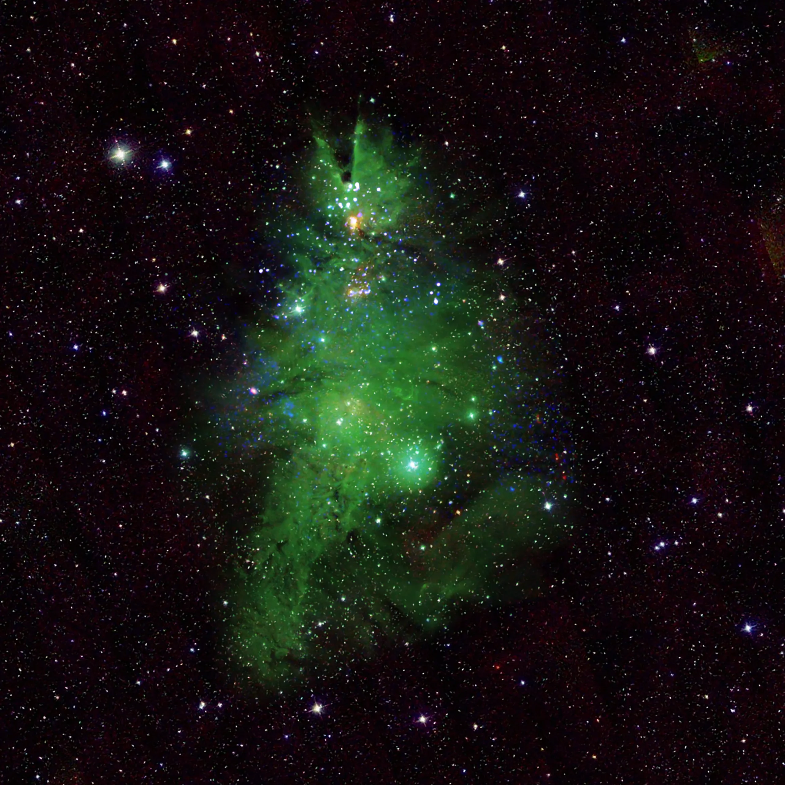 NASA's Telescopes Capture Festive Celestial Display: The Christmas Tree Cluster